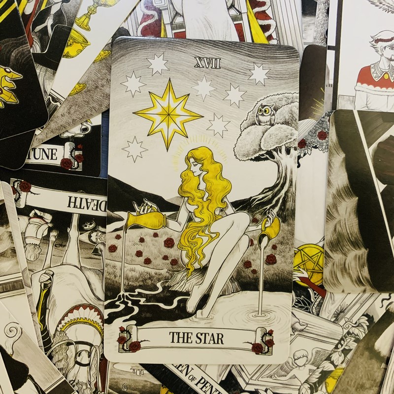 Cartes de tarot miroir secret  - Tarot Deck With Guidebook avis et prix